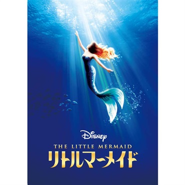 『リトルマーメイド』舞浜公演　プログラム　2026年8月発行